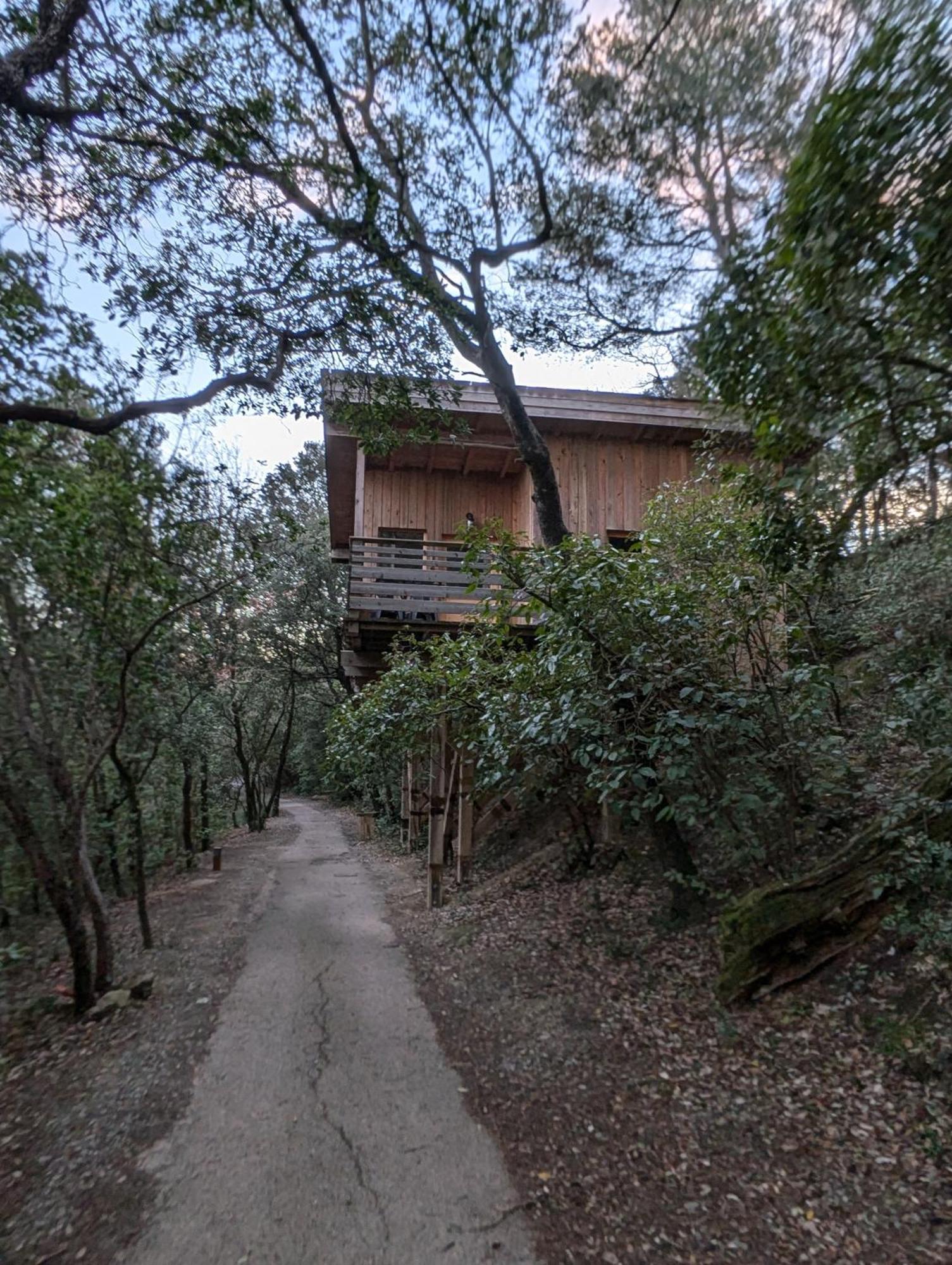 Les Cabanes Dans Les Bois Logis Hotel Villedubert Kültér fotó
