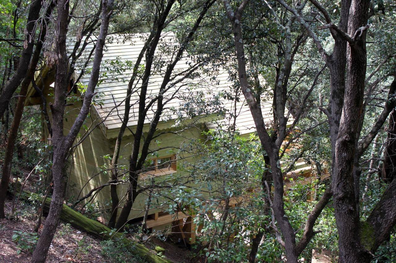 Les Cabanes Dans Les Bois Logis Hotel Villedubert Kültér fotó