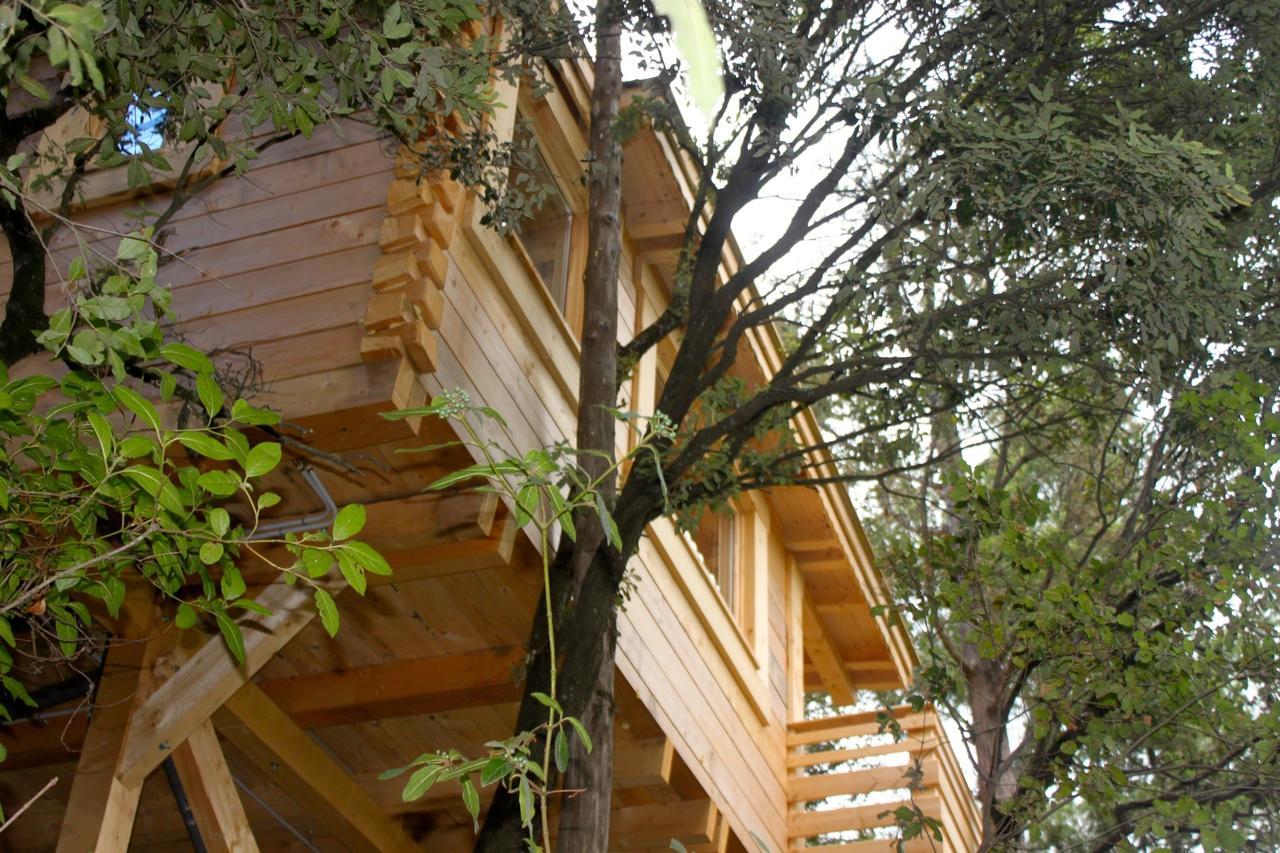 Les Cabanes Dans Les Bois Logis Hotel Villedubert Kültér fotó