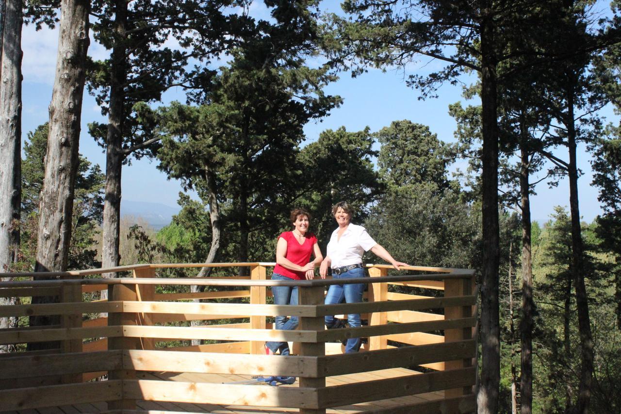 Les Cabanes Dans Les Bois Logis Hotel Villedubert Kültér fotó